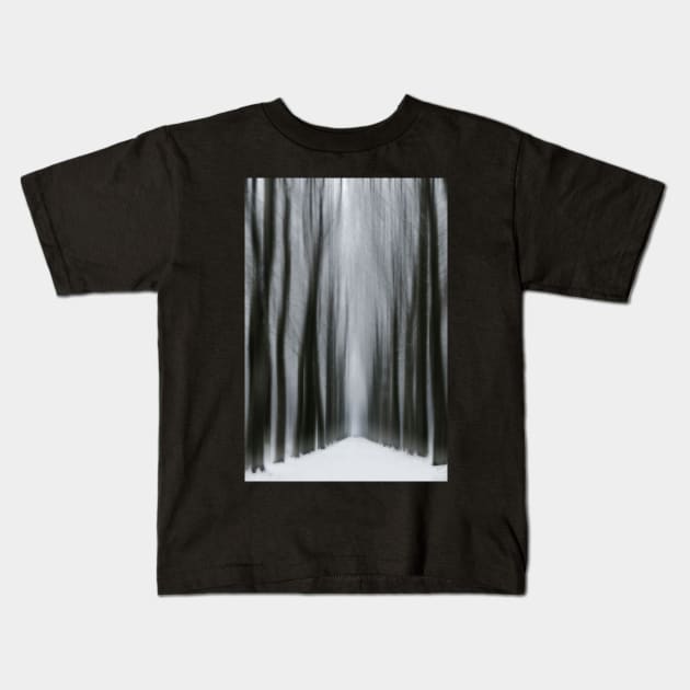 Winter Forest 10 Kids T-Shirt by David Lichtneker